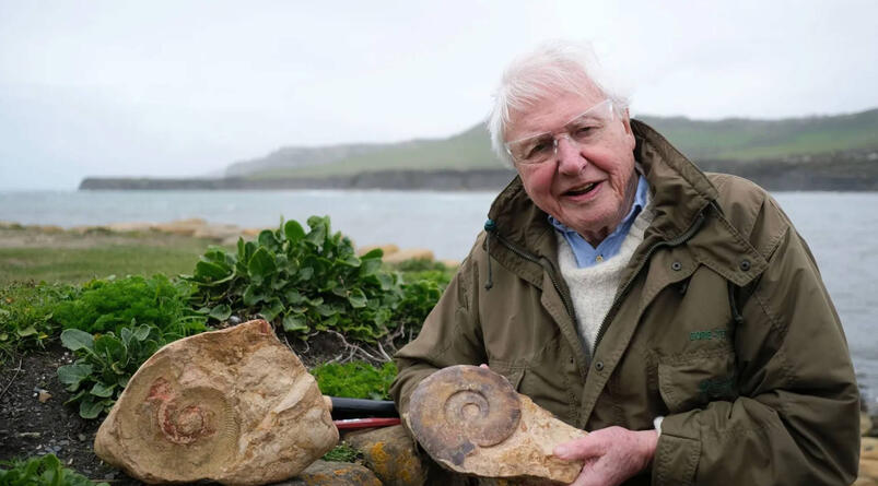 I went fossil-hunting at the sites that sparked Attenborough's love for nature (BBC) David Attenborough holding fossils